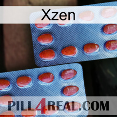 Xzen 05